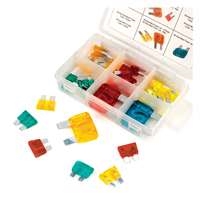 Wilmar W5370 - 33 Pc. Master Fuse Assortment