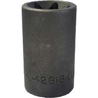 SK Hand Tool 42616 - E16 Female TORX