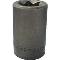 SK Hand Tool 42618 - E18 Female TORX