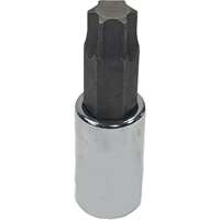 SK Hand Tool 45555 - T55 Torx Socket 3/8dr