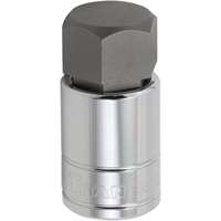 Titan 15670 - 1/2" Dr. 1" Hex Bit Socket