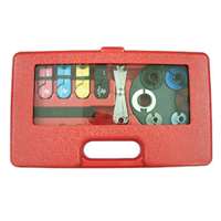 (AST-78930) 15 Piece Master Disconnect Kit