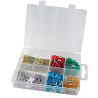 (ATD-382) 100 Pc. Mini Car Fuse Assortment