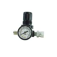 Air Regulator and Gauge Assembly