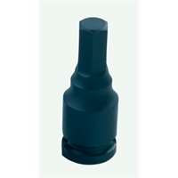 (GRY-1906F) 3/8" Drive x 3/16" Hex Driver
