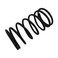 (IRC-PF2219-27) spring ns 050197