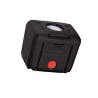 (PPM-PPTK0047) WORK LIGHT MODULE 250 LUMEN