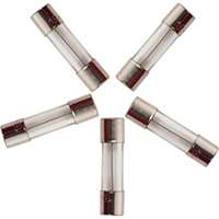 (PWP-PPTK0042) PP4 Fuse, 20 Amp, Fast Blow, 5 Pack