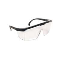 (SAS-5270) Black Frame Hornets with Clear Lens