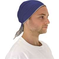 ThermaSure Cooling Blue Bandana