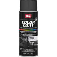 (SEM-15303) COLOR COAT - Graphite