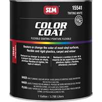 (SEM-15541) COLOR COAT - Tinting White