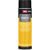 (SEM-38403) Blenz-In