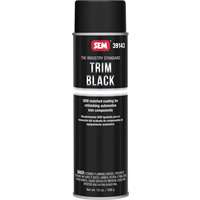 (SEM-39143) Trim Black, 15 oz. Aerosol Can