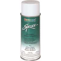 (SEY-98-2) Spruce Gloss White General Use Enamel
