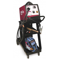 Firepower VCT14440348 - Thermal Arc FP-165 MIG/Flux Cored Welding System w/Cart