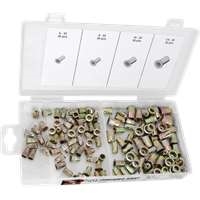 Wilmar W5251 - 120pc SAE Threaded Rivet Assortment