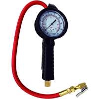 Astro Pneumatic 3081 - Dial Tire Inflator
