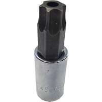 SK Hand Tool 45455 - T55 Security Torx