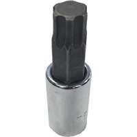 SK Hand Tool 45573 - T55 Torx Plus Socket 3/8dr