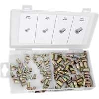 Wilmar W5252 - 120pc Metric Threaded Rivet Assortment